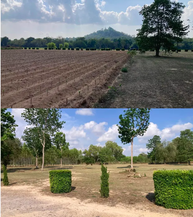 Premium Land For Sale In Khao Chi Chan, Chonburi - photo 2