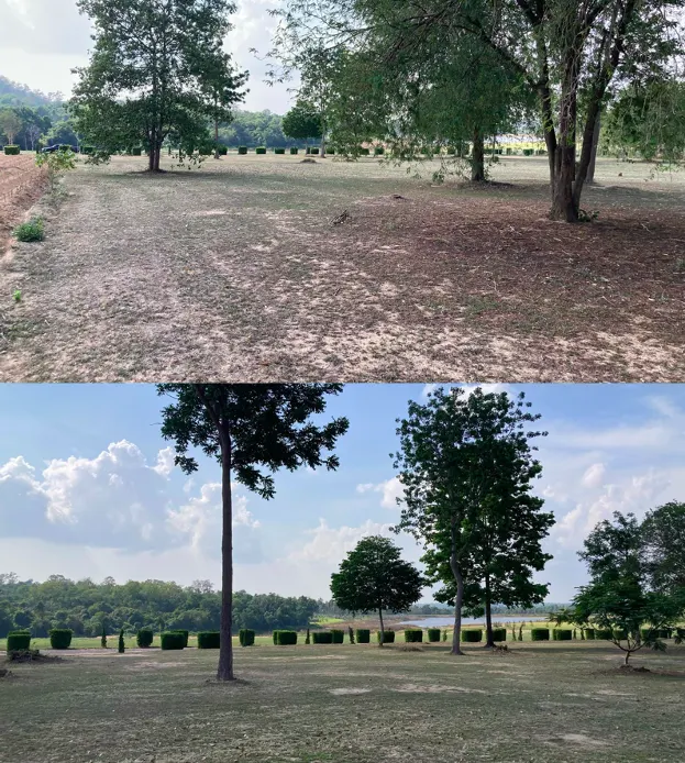 Premium Land For Sale In Khao Chi Chan, Chonburi - photo 3
