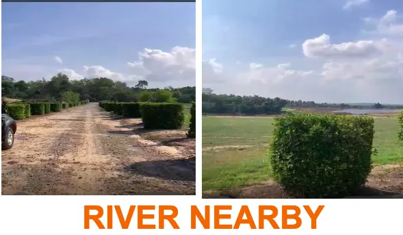 Premium Land For Sale In Khao Chi Chan, Chonburi - photo 4